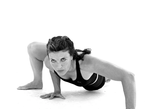 Animal Moves Online (Self-Paced)